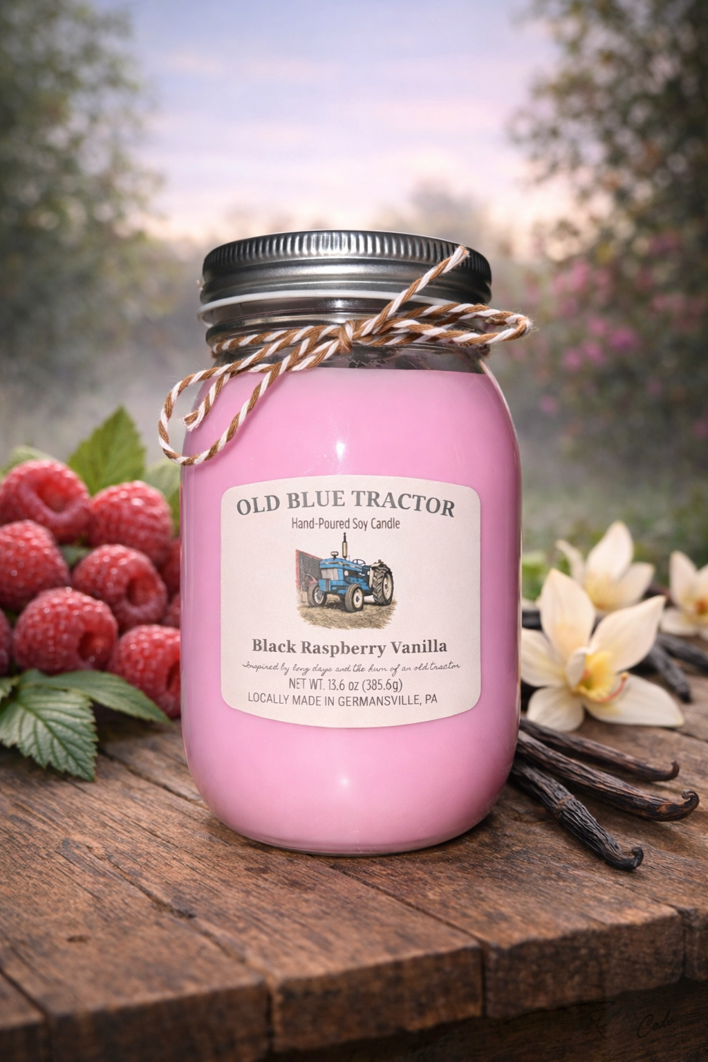 Black Raspberry Vanilla Soy Candle